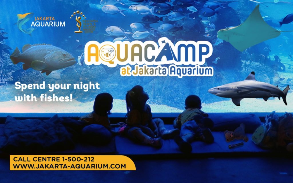Aqua camp