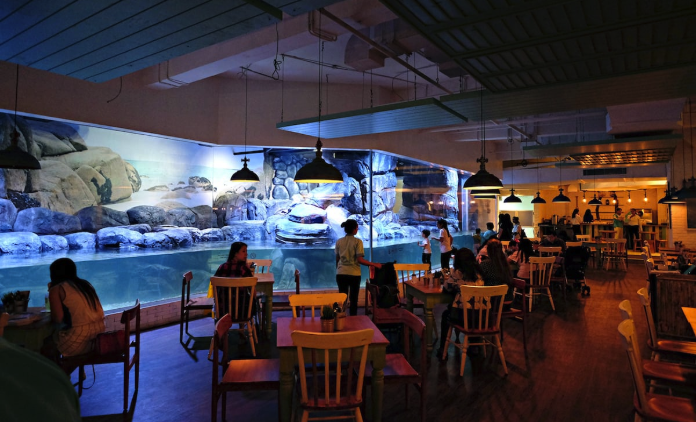 penguin-restaurant-jakarta-aquarium