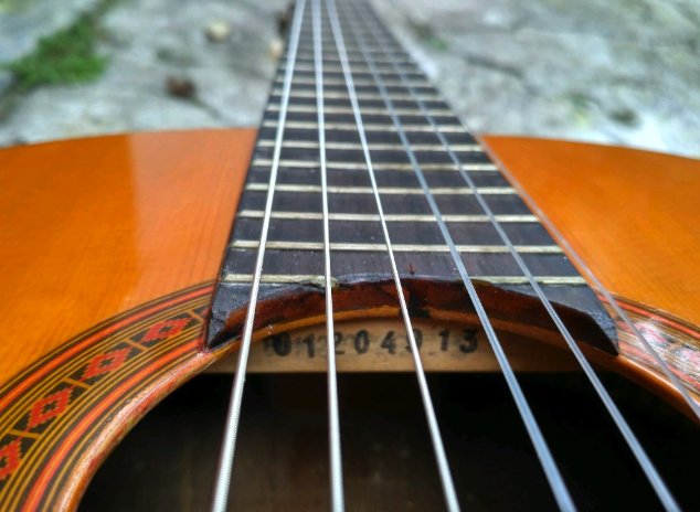 Senar-Dan-String-Gitar-Akustik-Yamaha-F310