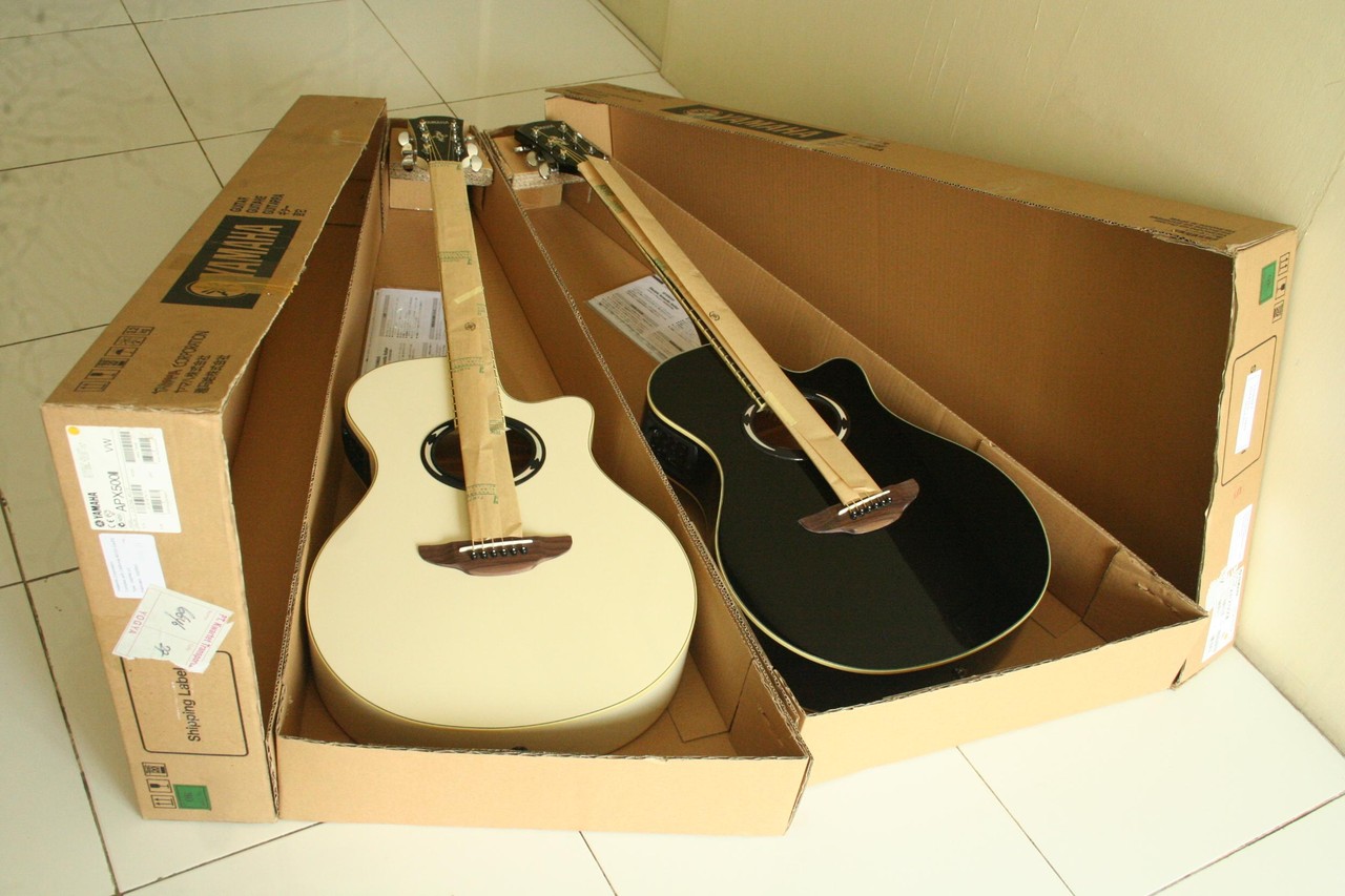 kelengkapan-gitar-yamaha-apx-500-ii