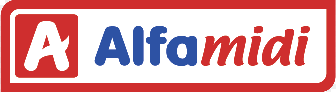 Logo Alfamidi