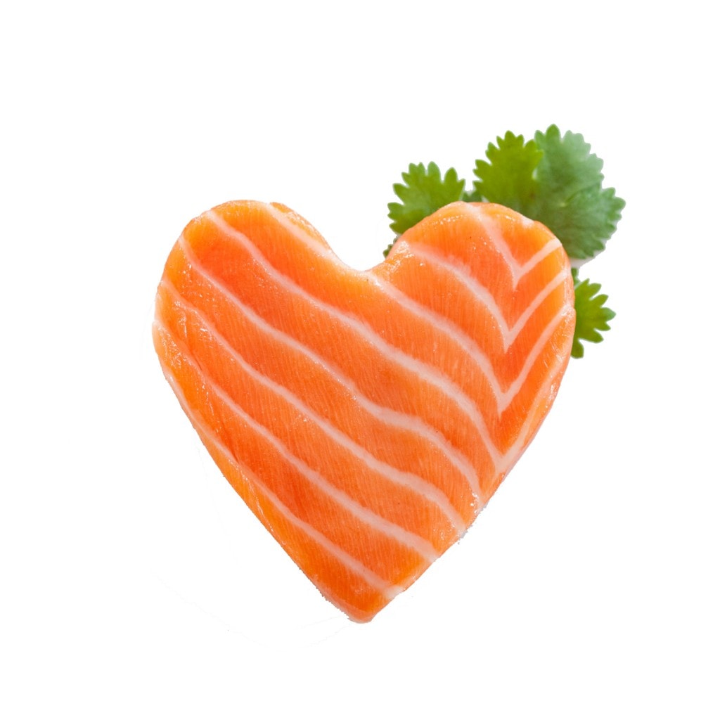 ikan salmon untuk kesehatan